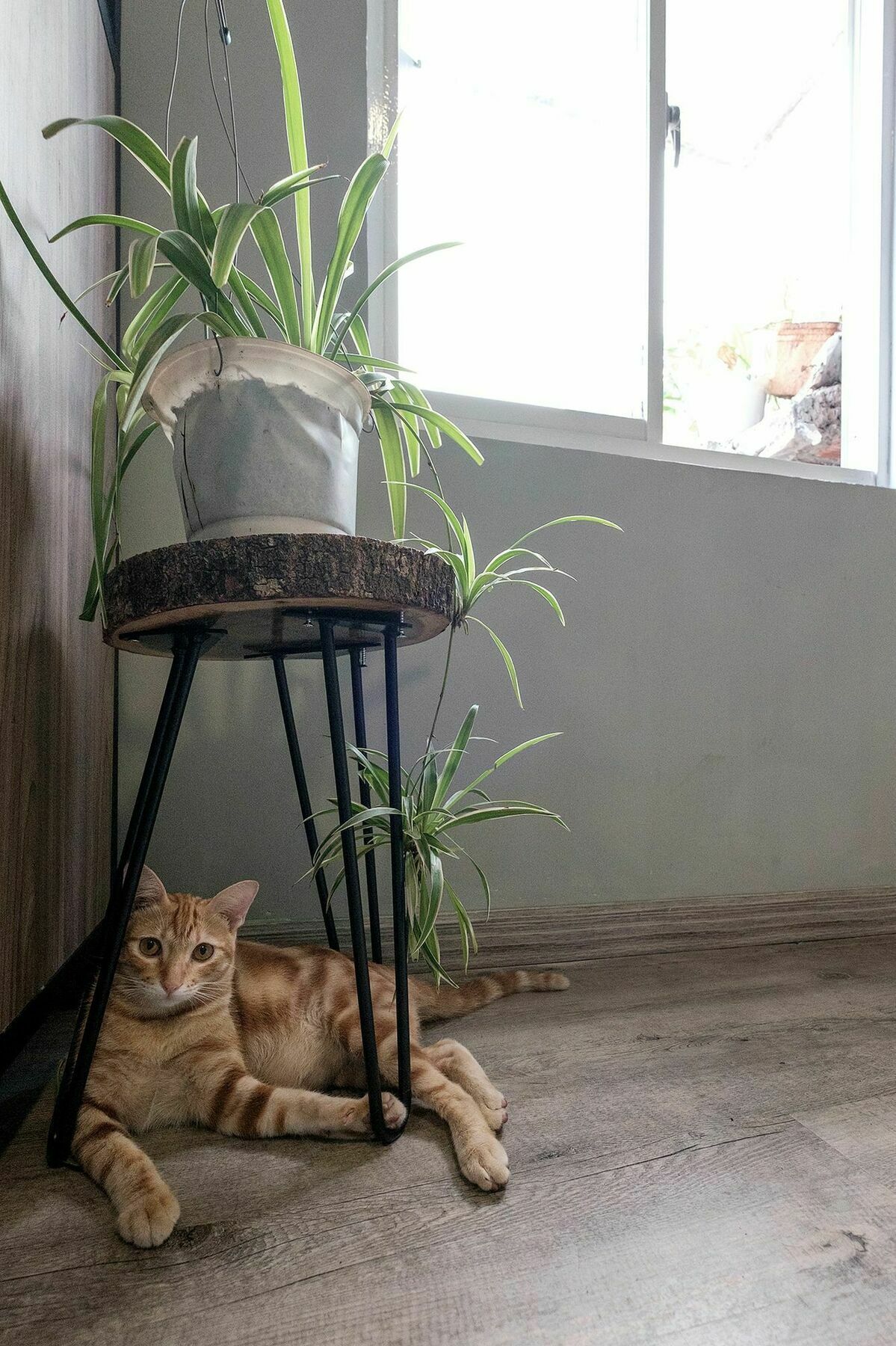 Saigon Inner Home Cidade de Ho Chi Minh Exterior foto